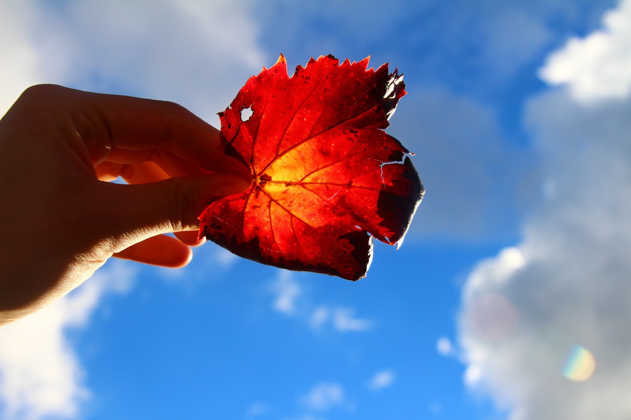 The Power of Subliminal Perception in Consciousness